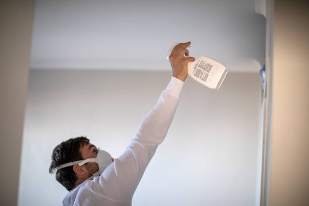 Best Toxic Mold Removal  in Bel Ridge, MO