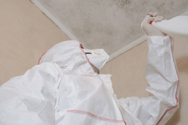 Best Attic Mold Removal  in Bel Ridge, MO